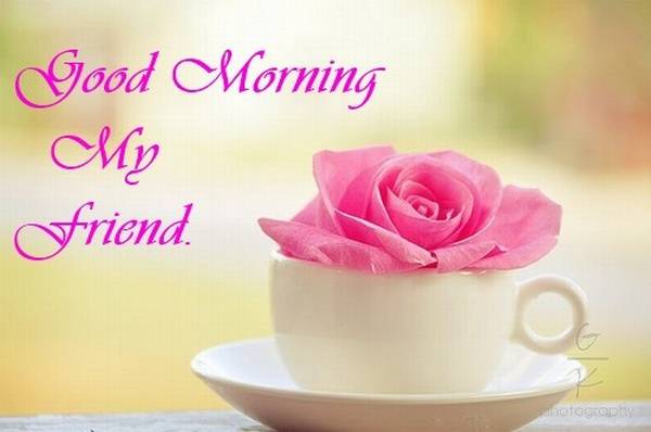 Good morning my friend wallpapers