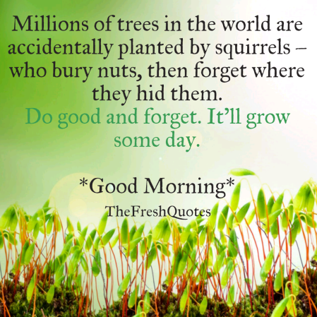 Good Morning Nature Images with Quotes (2)