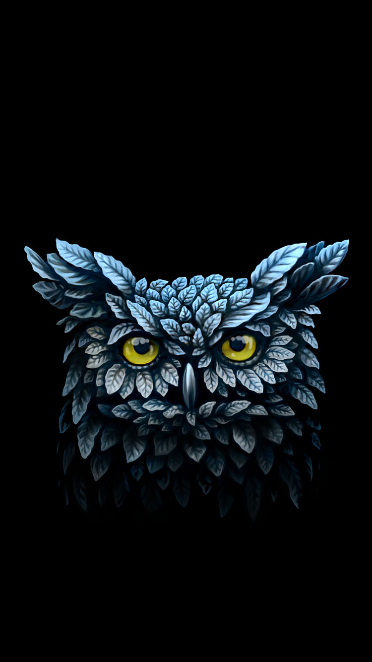 Owl-iPhone-six-Wallpaper-iPhone 6S funny Wallpapers