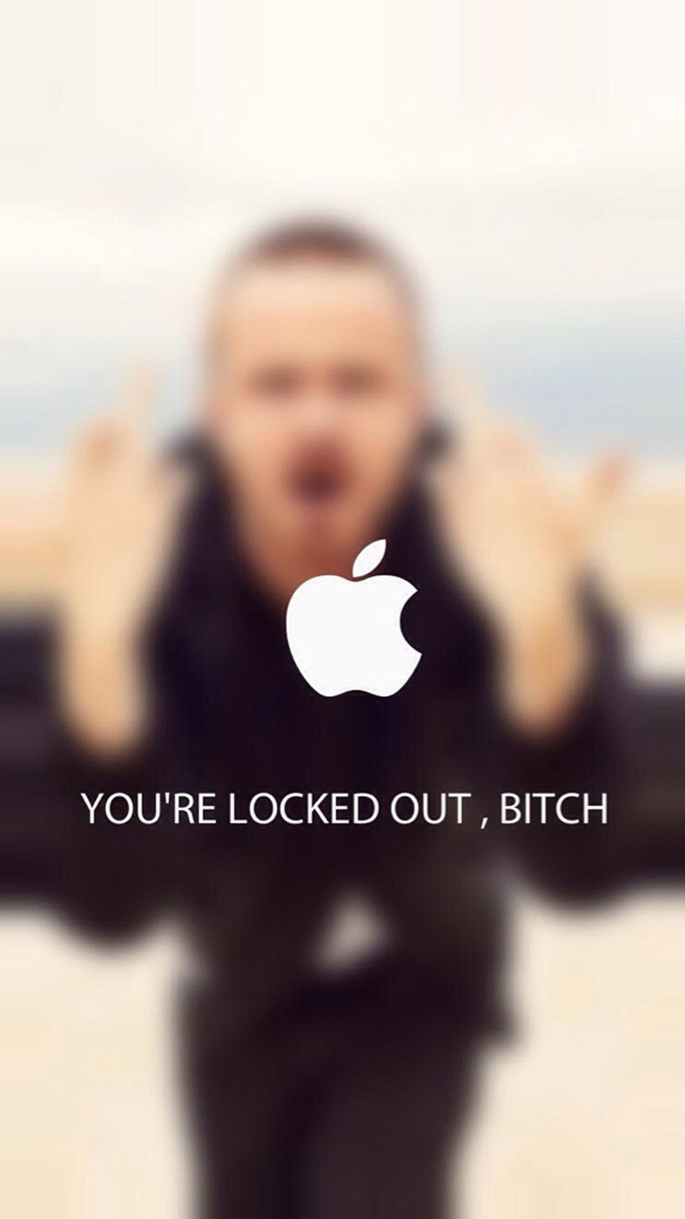 You-are-Locked-Out-Bitch-iPhone-6-Wallpaper