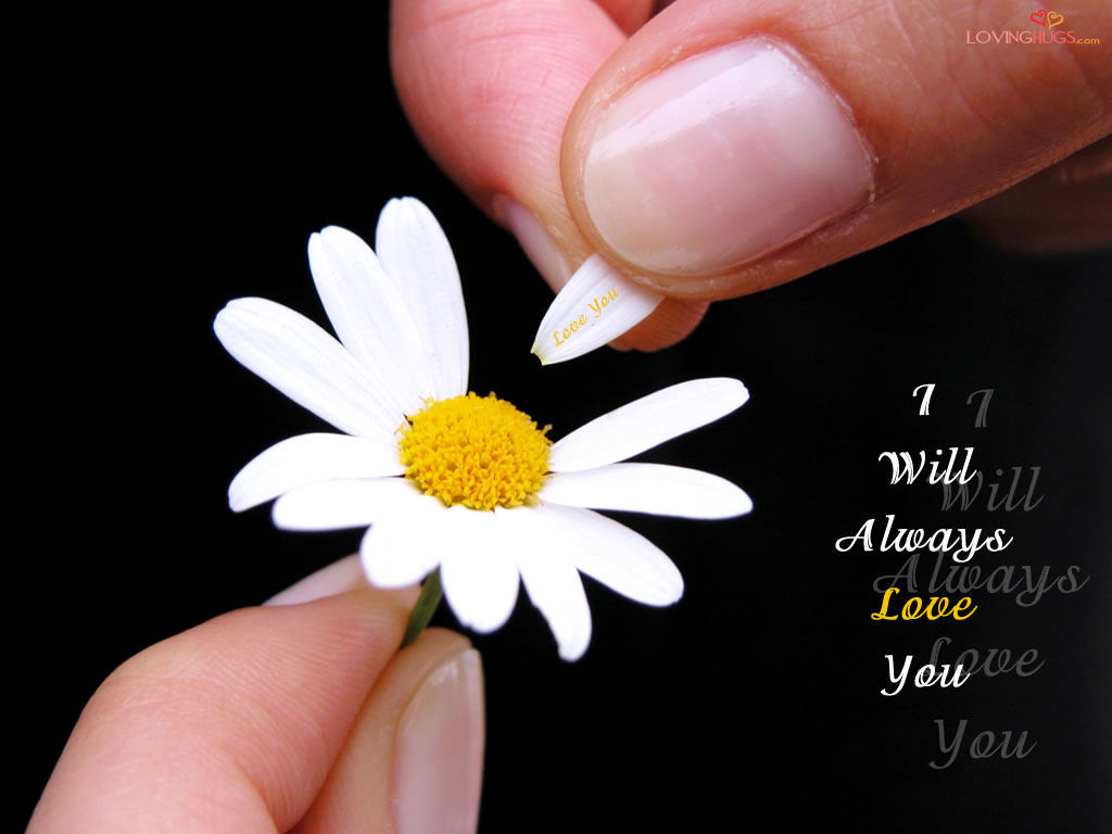 i will always love you funny quotes