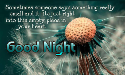 beautiful good night quotes images for friends