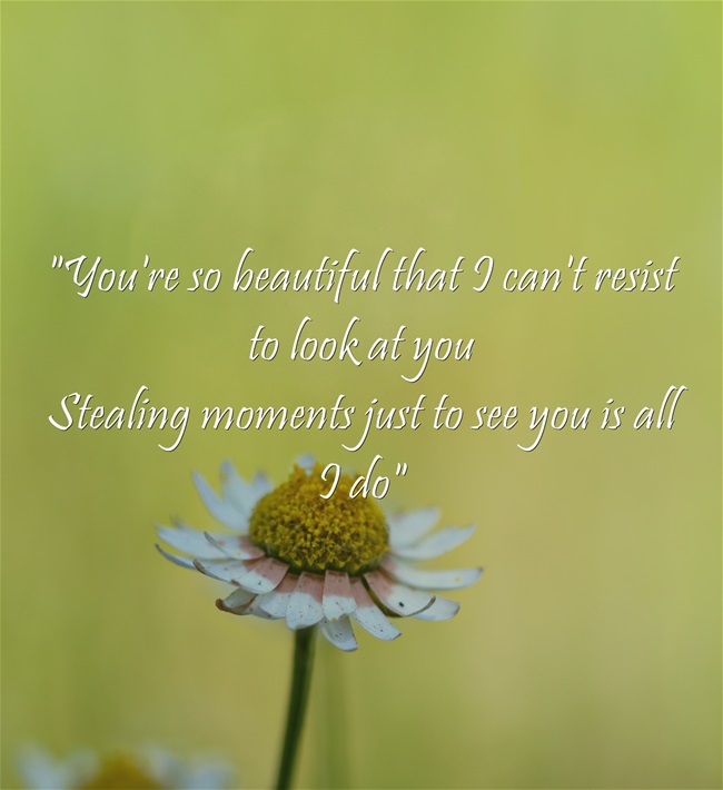 your so pretty quotes