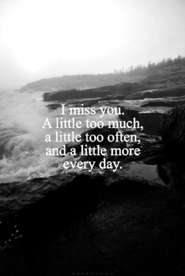 60+ Quotes about Missing Someone you Love Freshmorningquotes