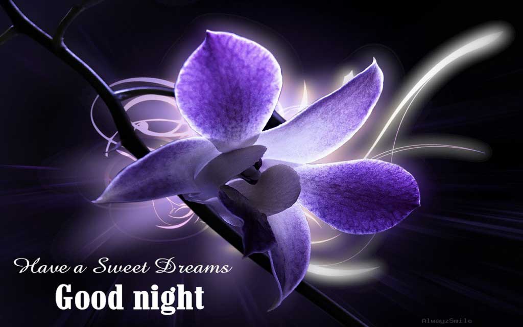 Flower-Good-Night-sweet-dreams-wishes-Hd-Wallpapers