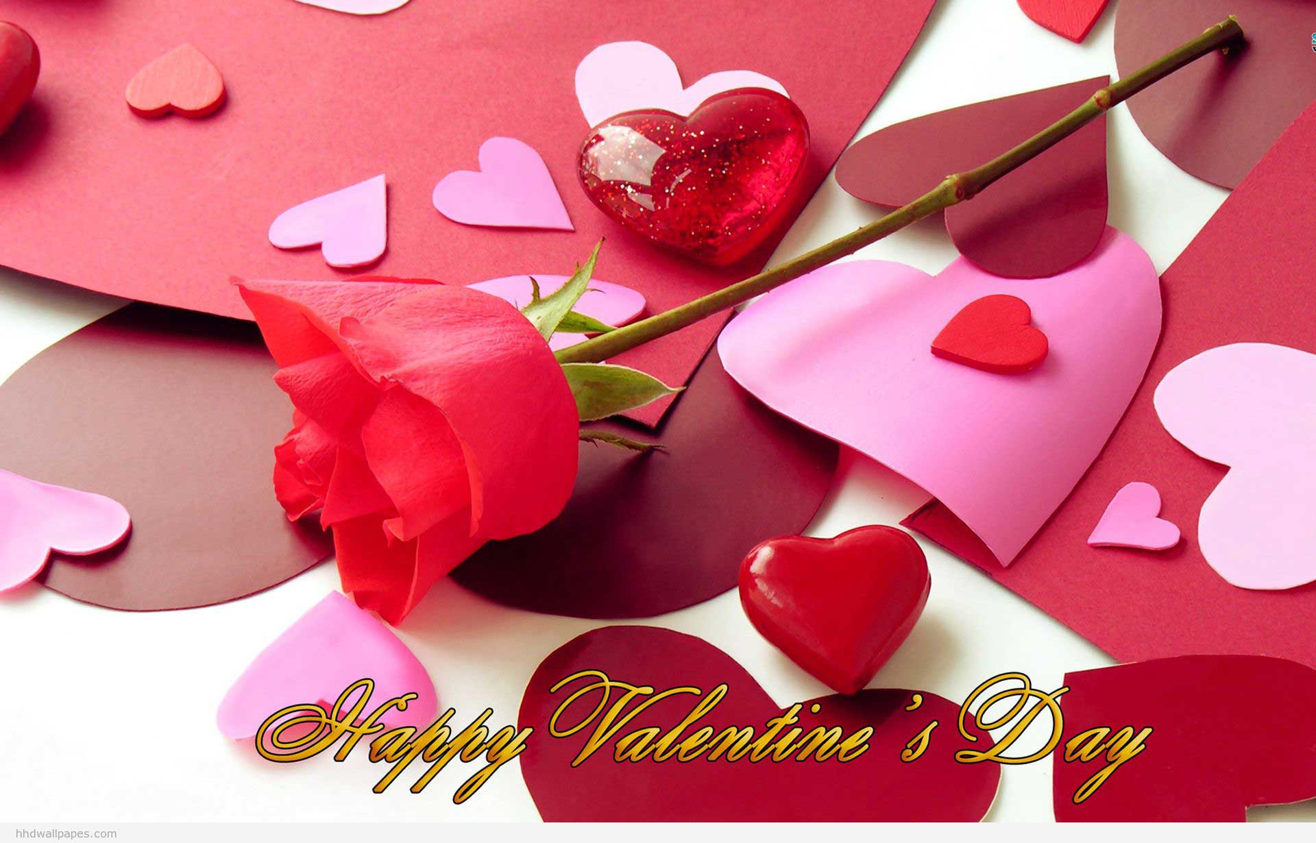 Happy-Valentines-Day-Wishes-Rose-Bud-Wallpaper