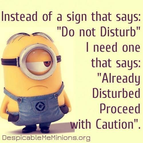 funny minion quotes images and friendship minion quotes (20)