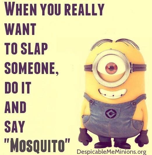 funny minion quotes images and friendship minion quotes (24)