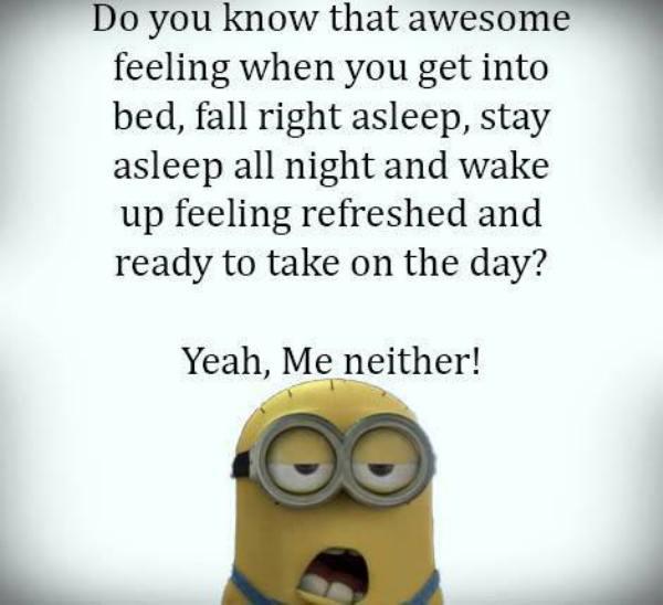 funny minion quotes images and friendship minion quotes (30)