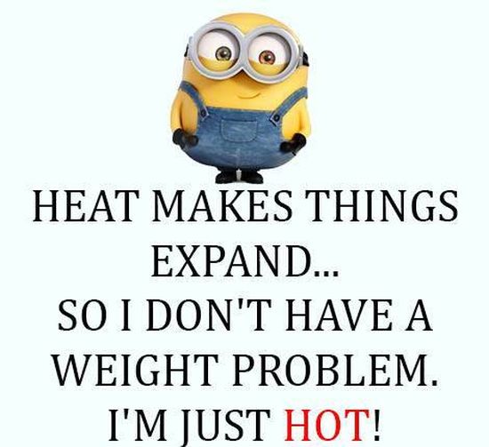 funny minion quotes images and friendship minion quotes (32)
