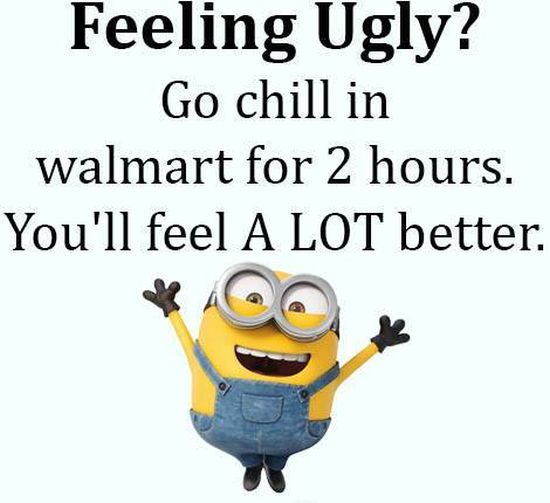 funny minion quotes images and friendship minion quotes (36)