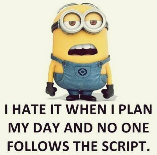 funny minion quotes images and friendship minion quotes (38)