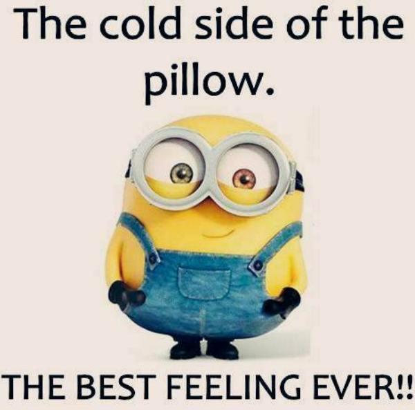 funny minion quotes images and friendship minion quotes (41)