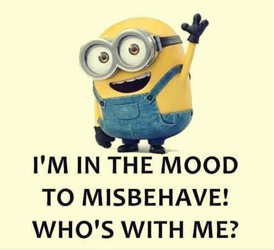 funny minion quotes images and friendship minion quotes (44)