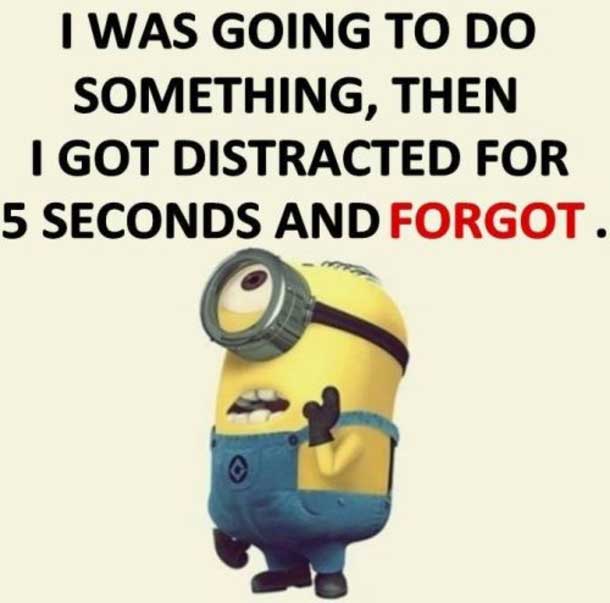 funny minion quotes images and friendship minion quotes (57)