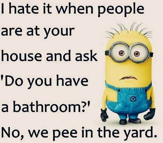 funny minion quotes images and friendship minion quotes (6)