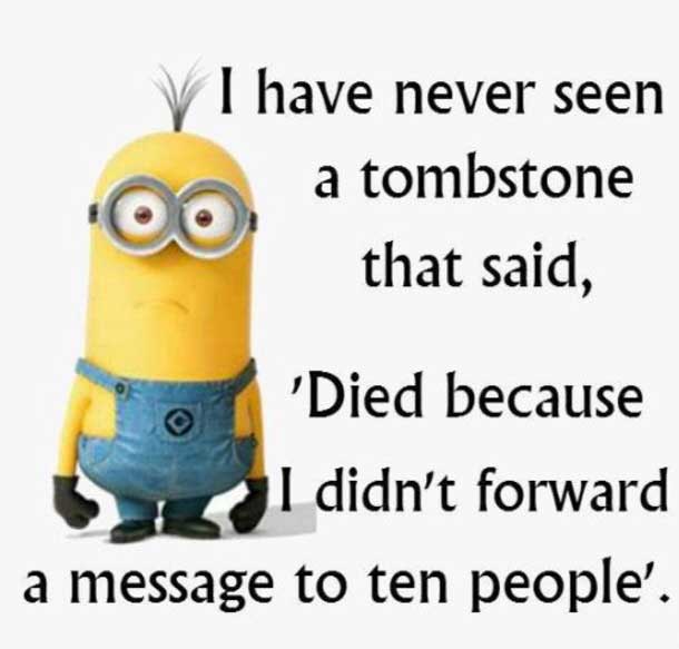 funny minion quotes images and friendship minion quotes (60)