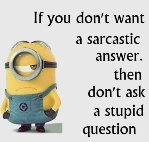funny minion quotes images and friendship minion quotes (67)