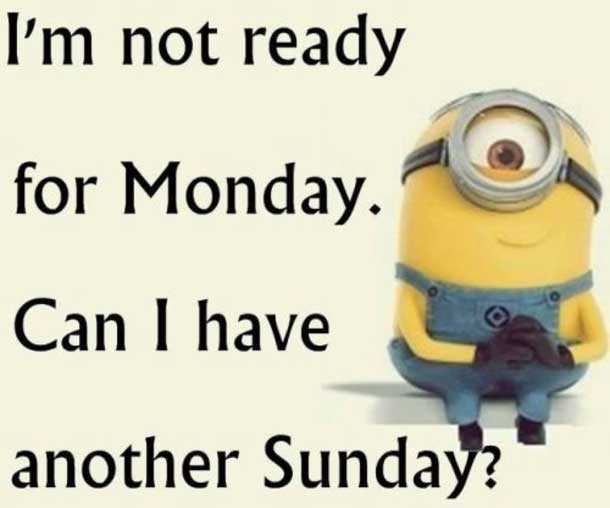 funny minion quotes images and friendship minion quotes (70)