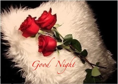good-night-image-for-mobile-with-rose