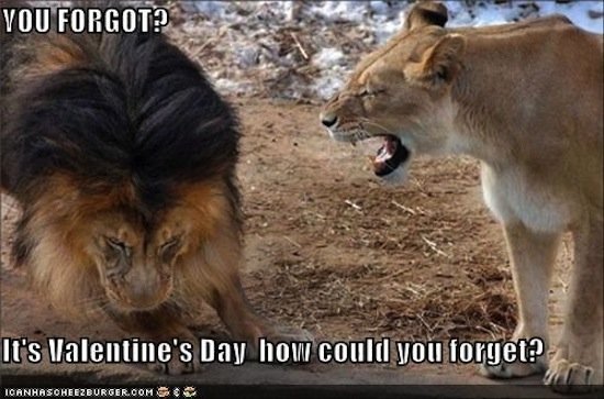 valentines day memes (2)