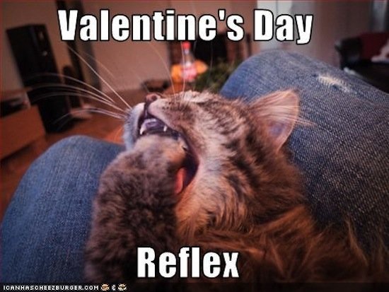 17 Funniest Valentines Day Memes - Freshmorningquotes