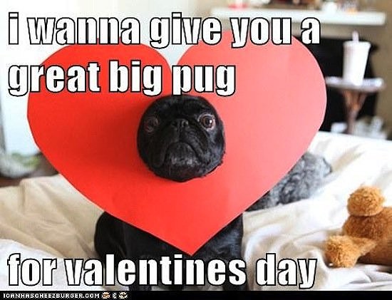 17 Funniest Valentines Day Memes Freshmorningquotes 17-funniest-valentines-day-memes-freshmorningquotes